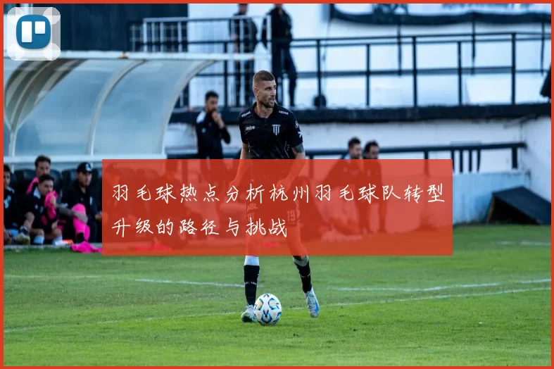 羽毛球热点分析杭州羽毛球队转型升级的路径与挑战